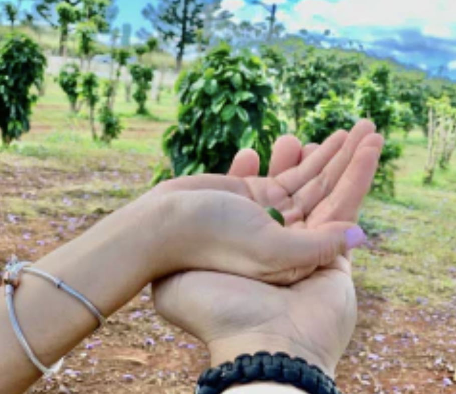 AMO family — from service to aloha